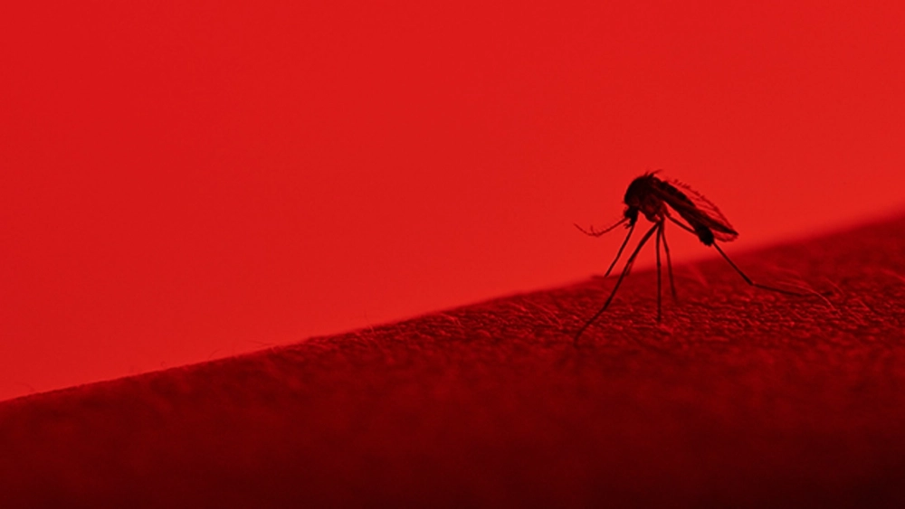 Integrated Mosquito Management for Your Business
