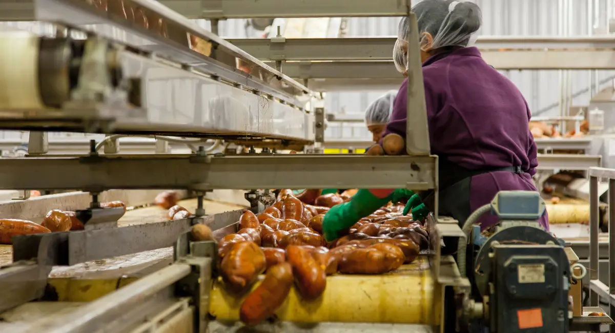 Pest control for food business
