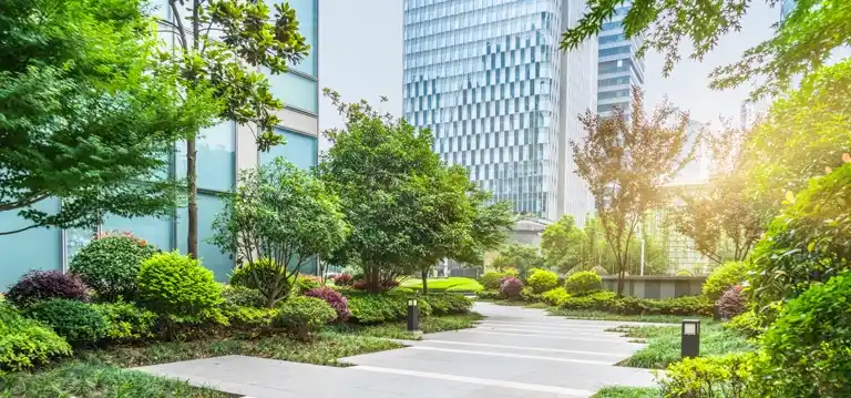 Well-maintained garden with trimmed bushes and trees