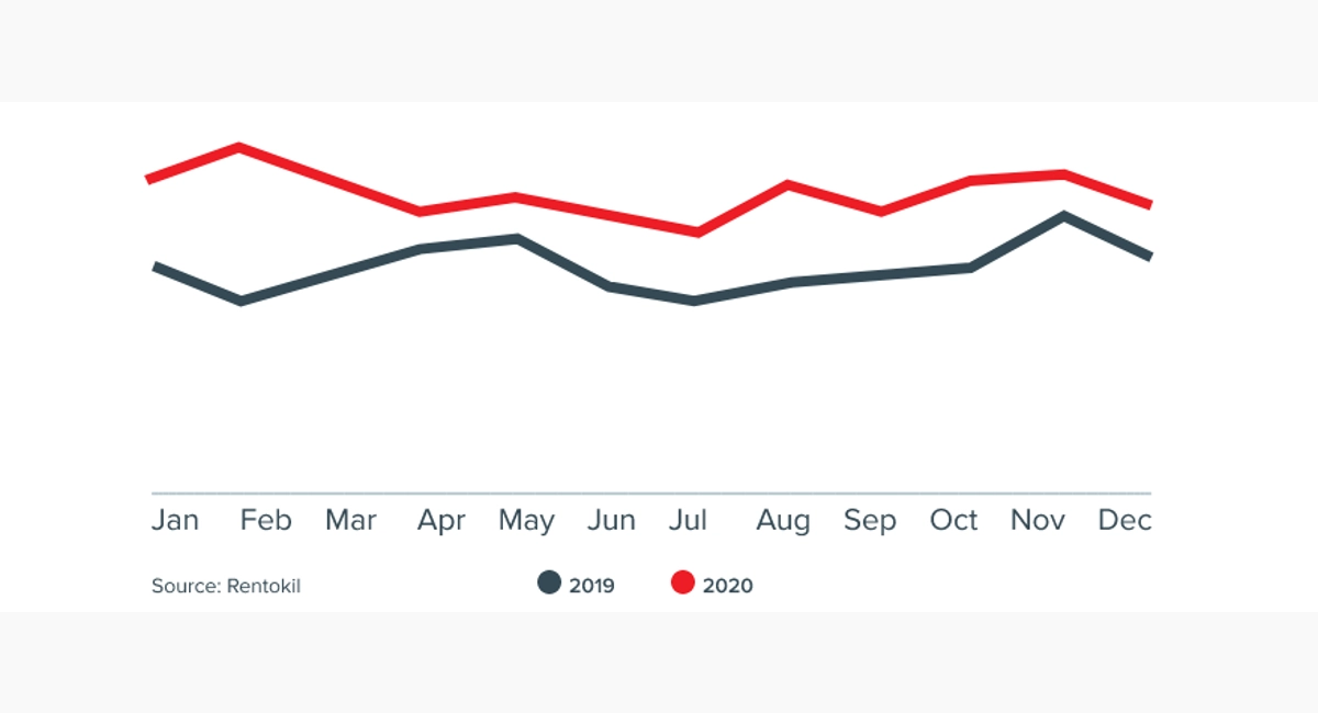 rat_graph
