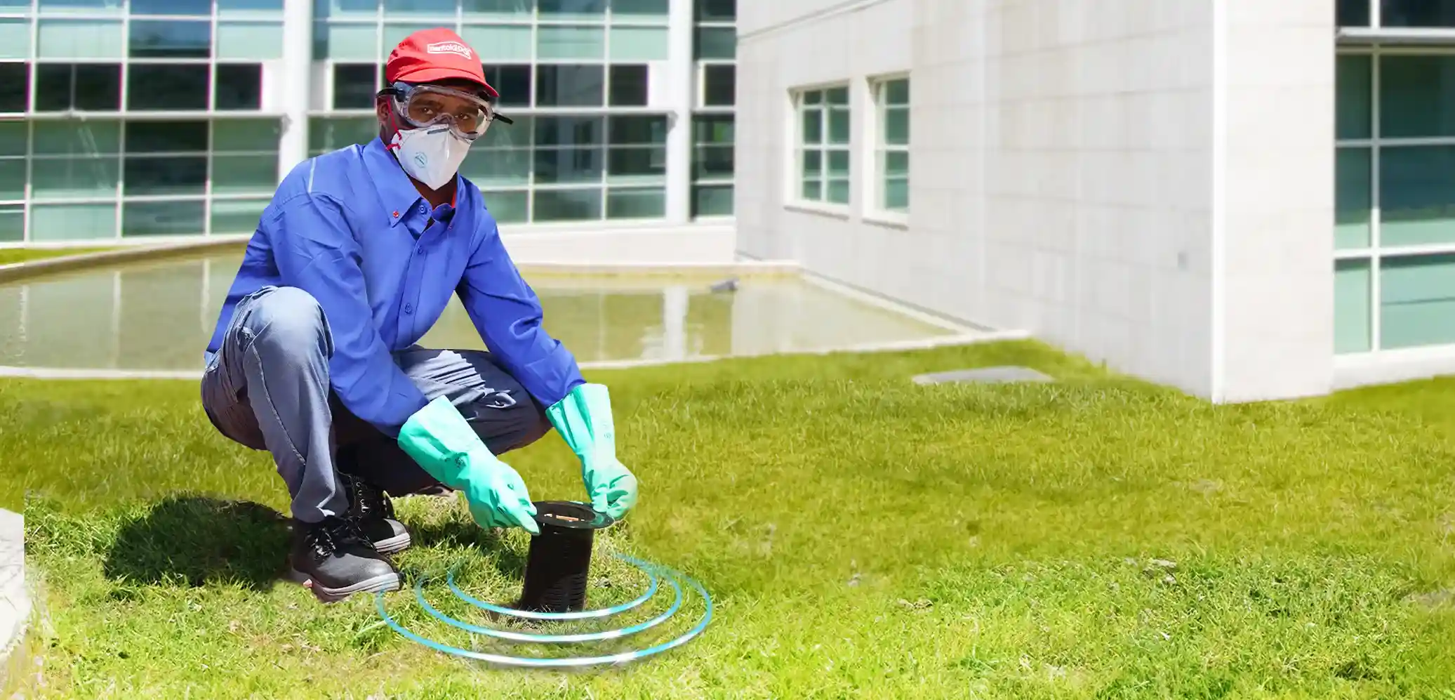 Termite Baiting System