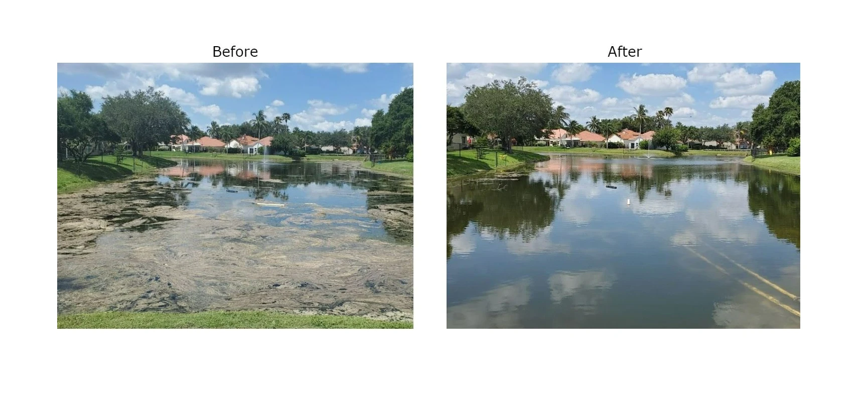 Before and after treatment