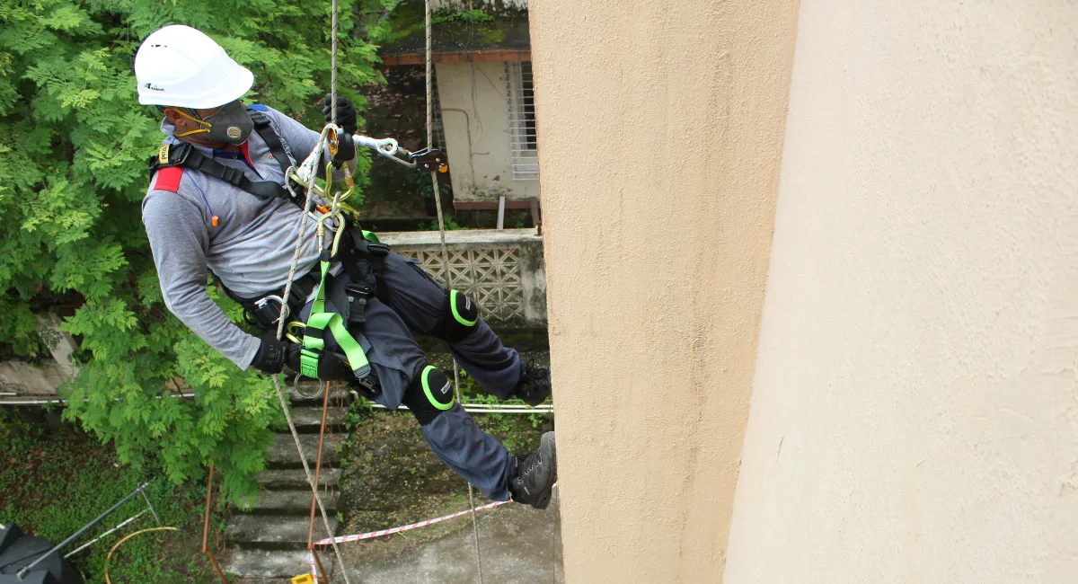 Pest Control Services