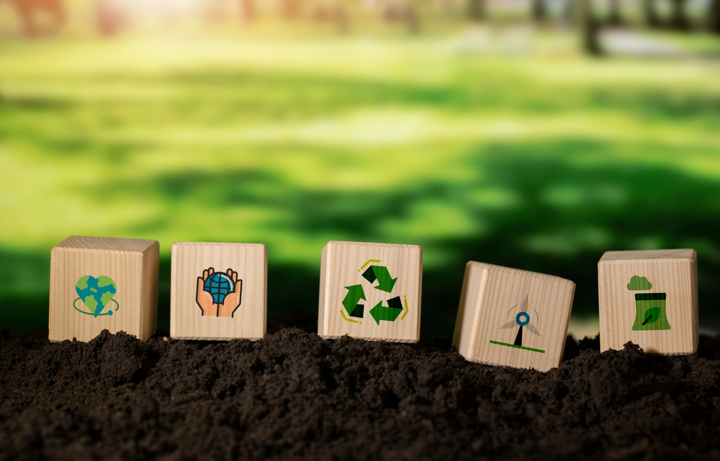 Embracing Sustainability