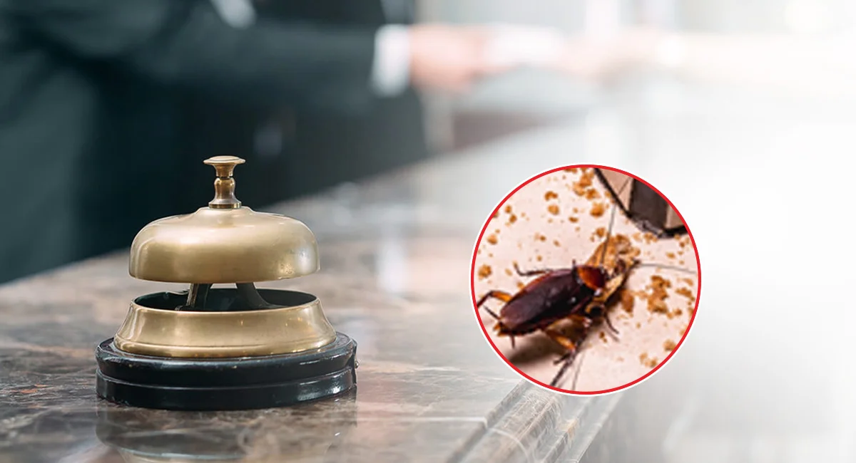 Pest Infestations