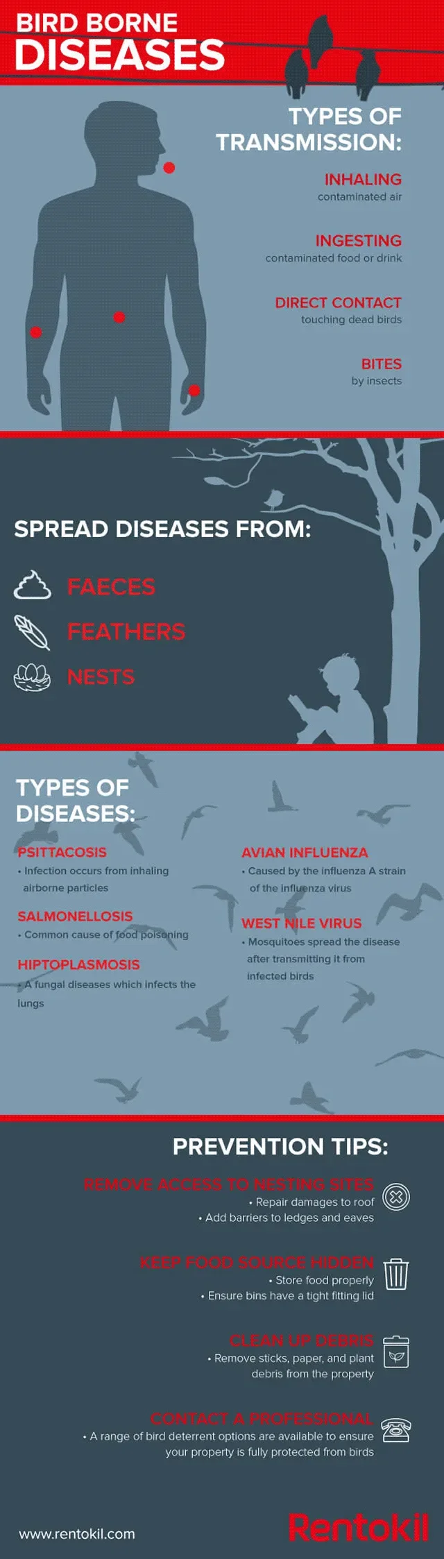 Bird borne diseases