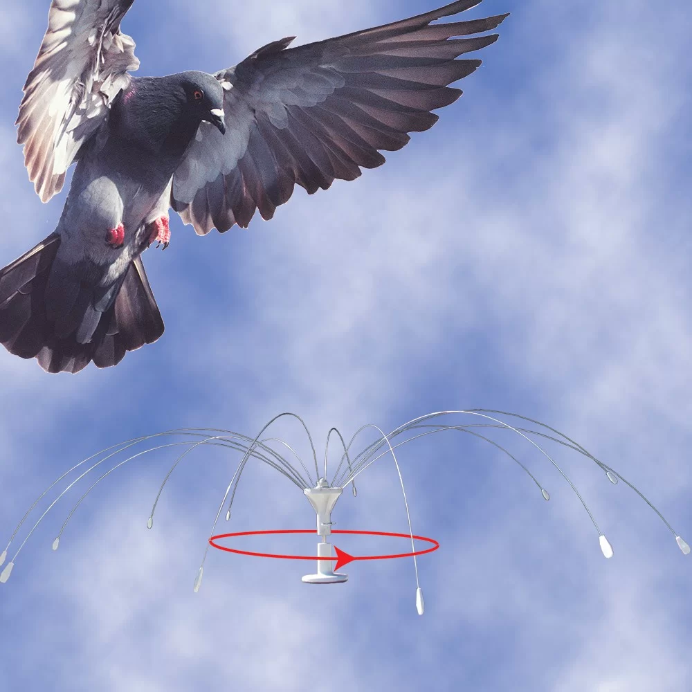 Pegion flying near a rotating bird deterrent device