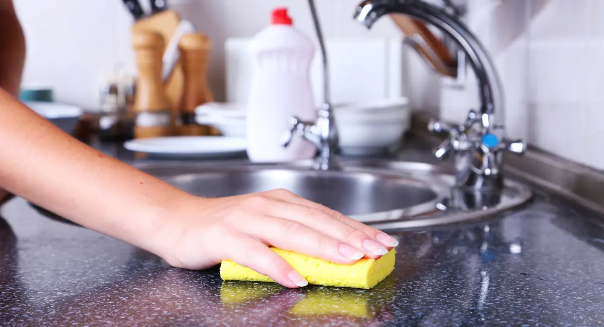Pre-Diwali kitchen cleaning and pest free home