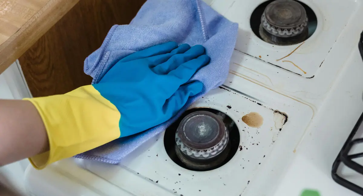 Deep Cleaning to eliminate pests