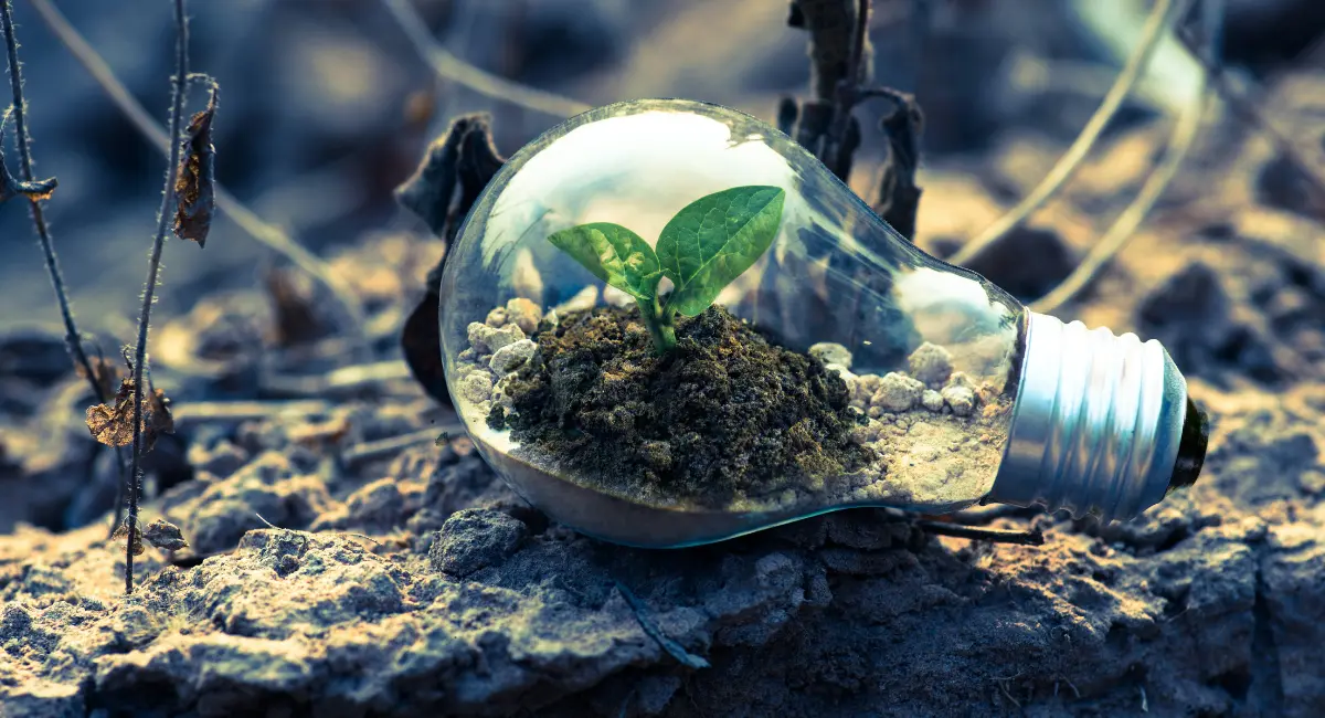 Sustainabilty