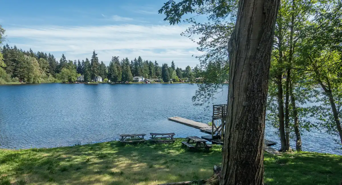 Lake and pond management