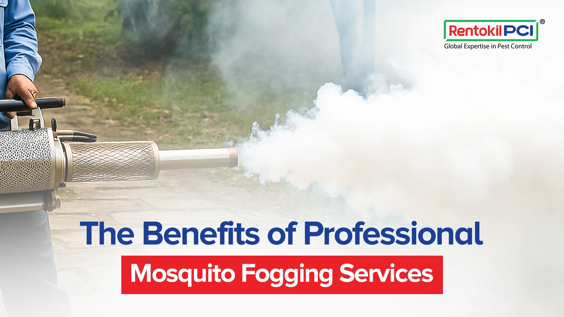 benefits of professional fogging service