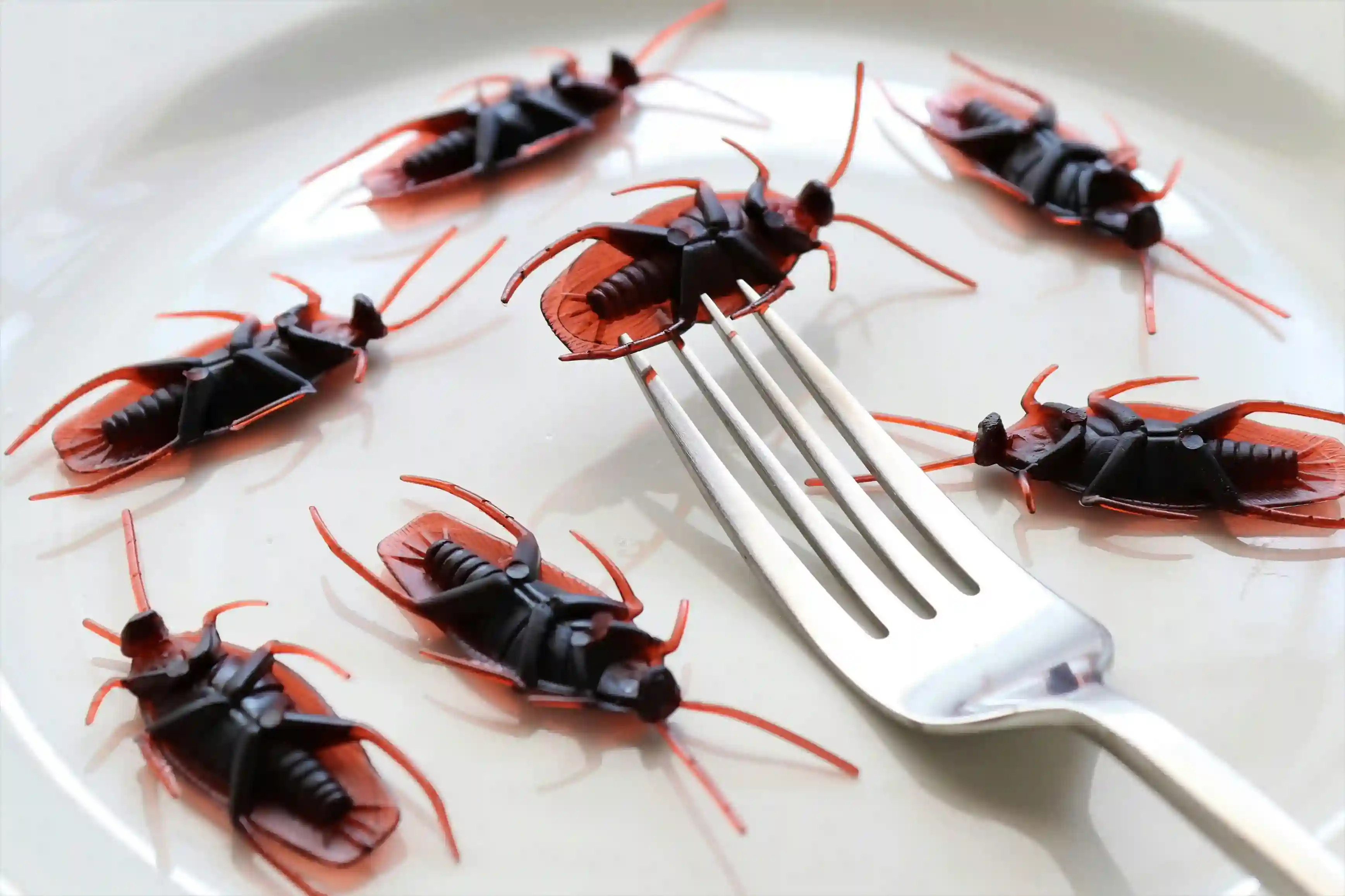 Cockroaches