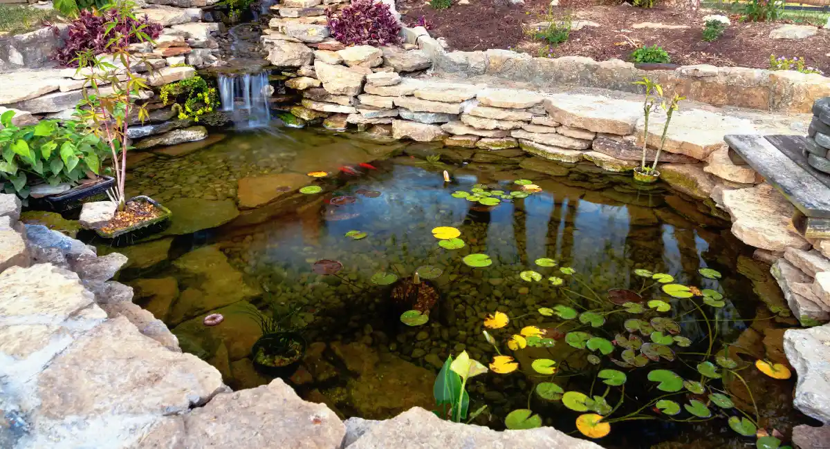 Keeping your water features beautiful