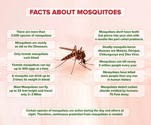 Facts about mosquitoes