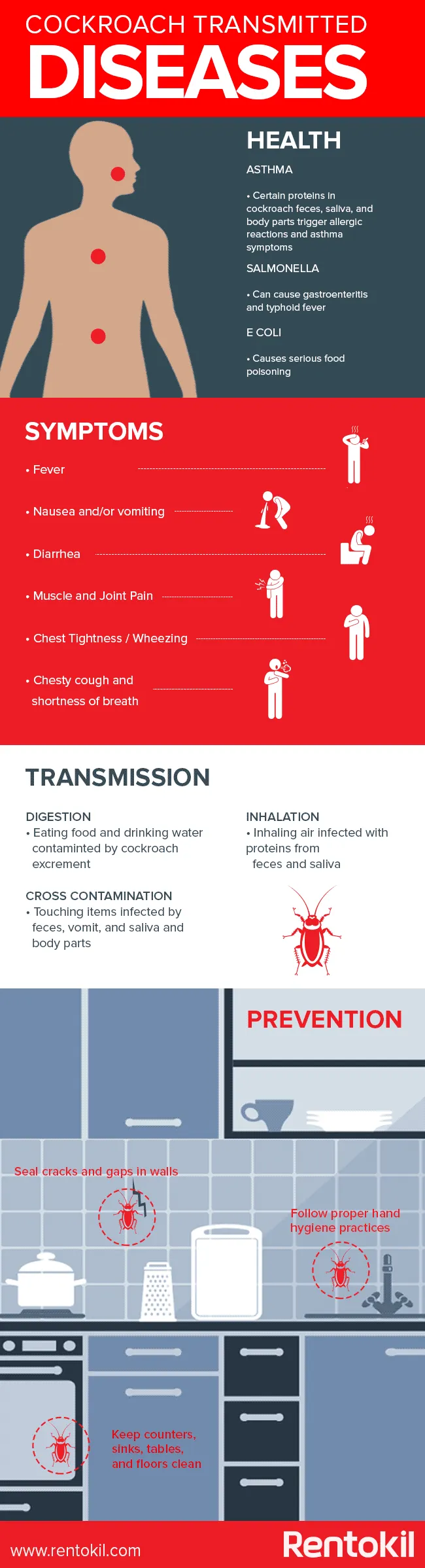 Cockroach Borne Disease