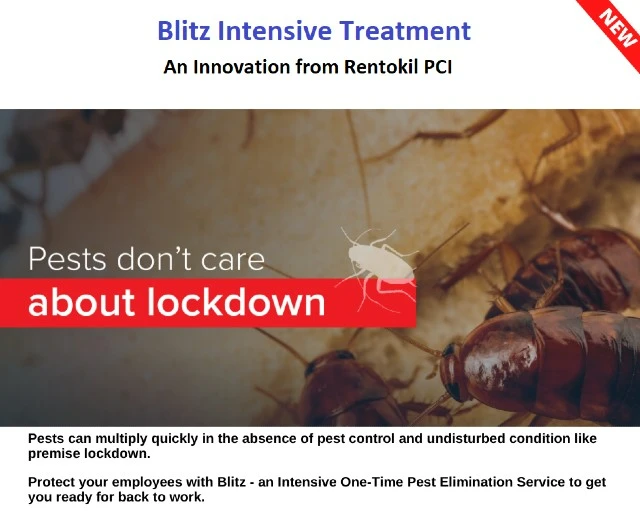 Rentokil PCI blitz intensive treatment