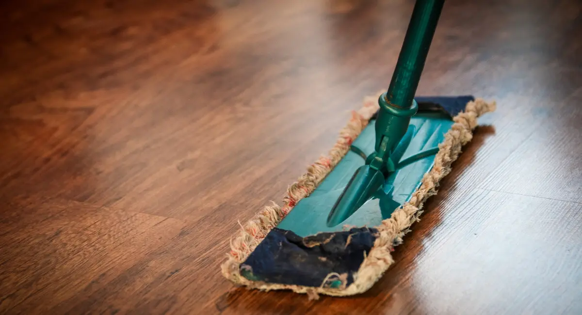 Pre Diwali cleaning and pest free home