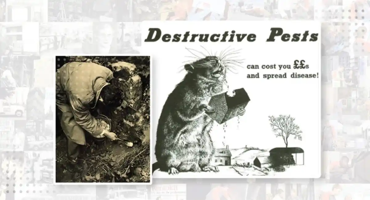 Destructive pests