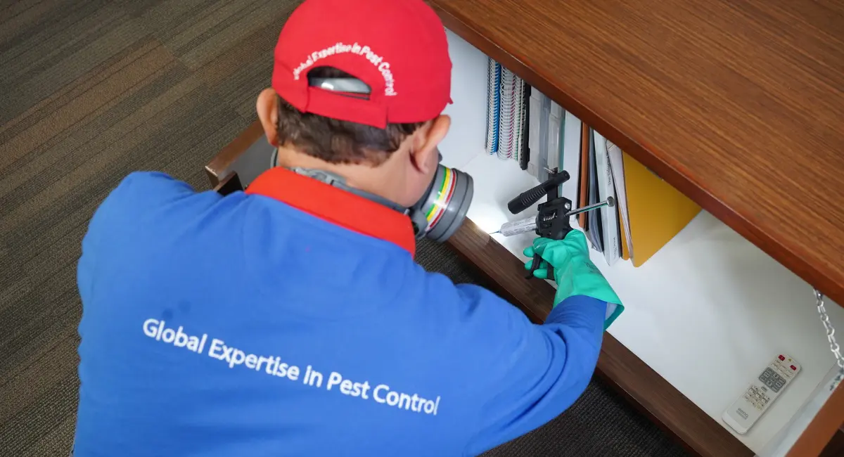 pest control services
