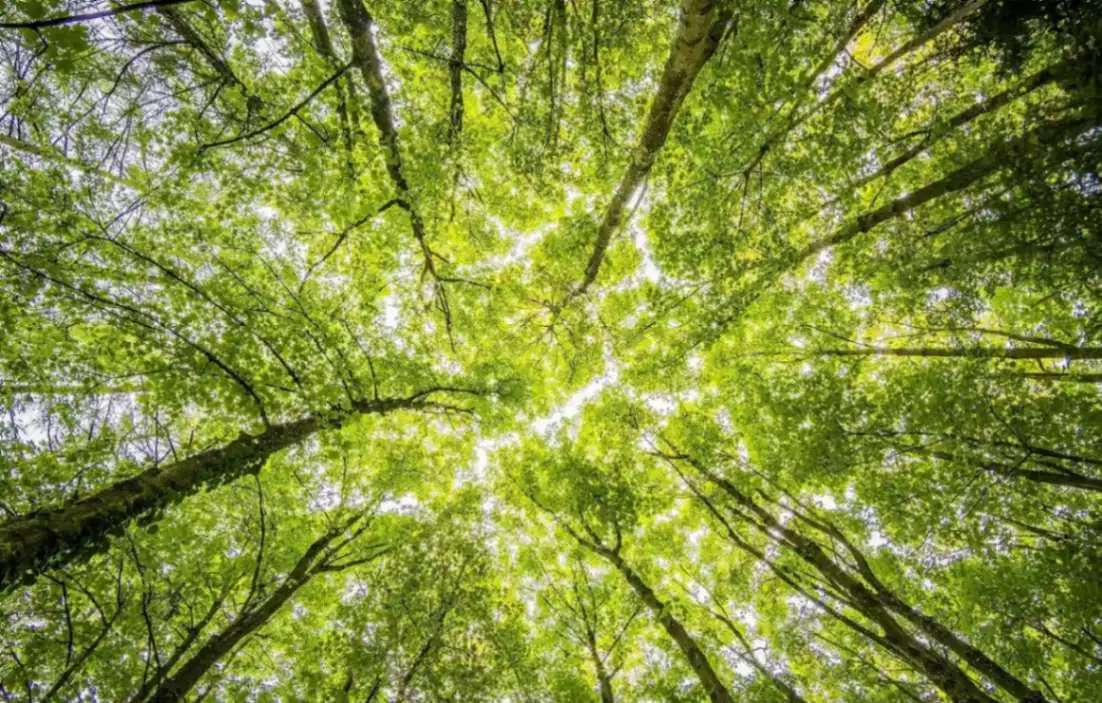 Safeguarding environment