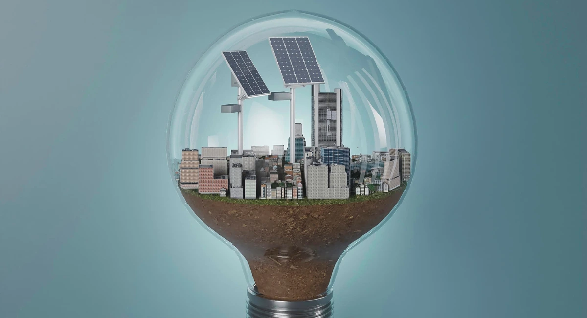 Collaboration With Environmental Organisations