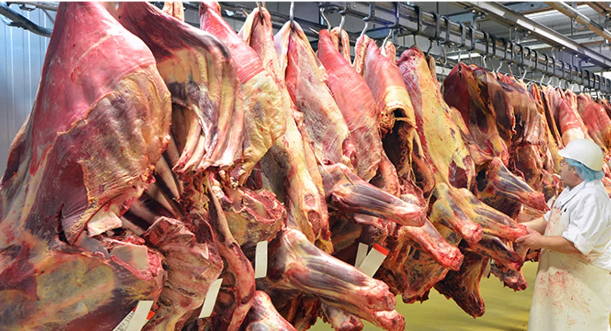 Meat Food Processing