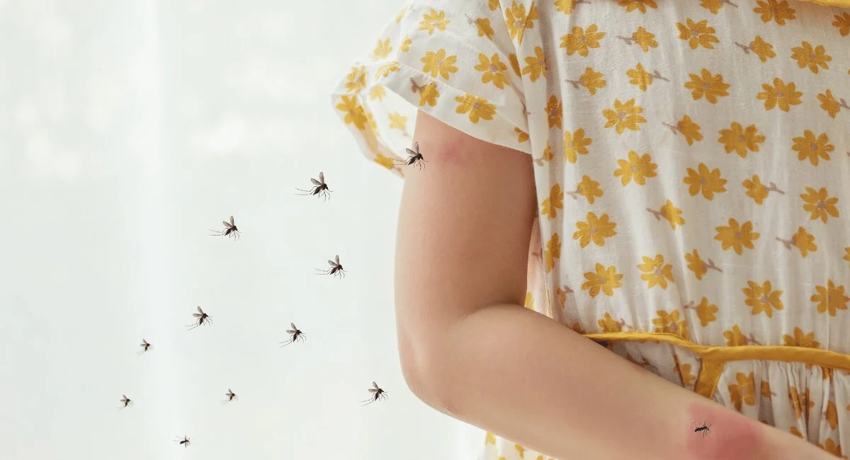 Mosquitoes hovering around a person’s hand with visible bite marks