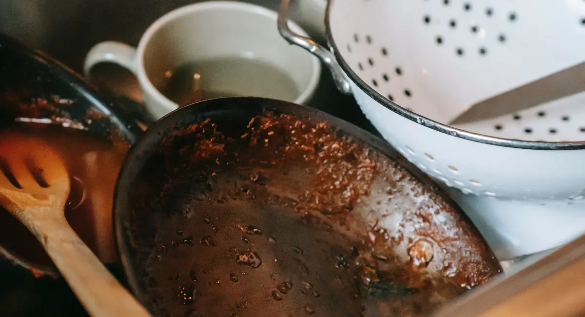 Maintaining the kitchen to prevent pests